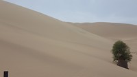 20180516_153418