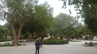 20180517_152913