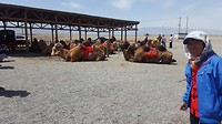 20180519_114605
