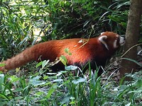 DSC02494[1]