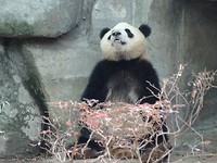 DSC02514[1]