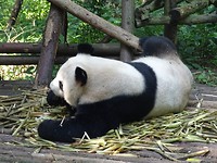 DSC02521[1]