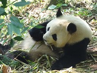DSC02539[1]