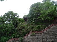 DSC02662[1]