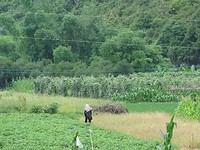 DSC03294[1]