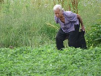 DSC03302[1]