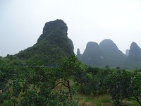 DSC03314[1]