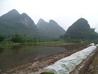 DSC03333[1]