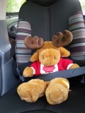 Eland op reis
