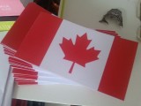 Maple leaf