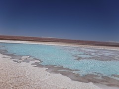 DSCF1729