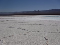DSCF1735
