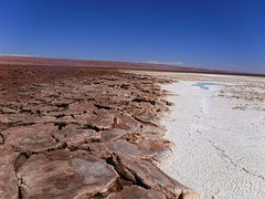 DSCF1737