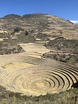 Moray