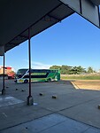 Bus Puerto Maldonado