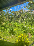 Uitzicht vanuit de slaapkamer