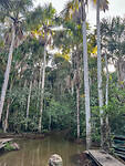 Sandoval Lake