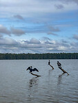 Sandoval Lake