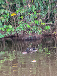 Kaaiman Sandoval Lake