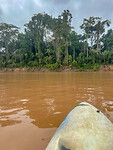 Kayakken
