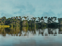 Sandoval Lake