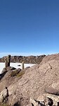 Cactus Island