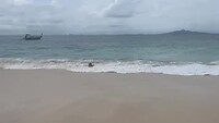 Bamboo Island