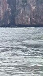 Haai op Maya Bay
