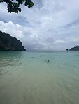 Bas aan het zwemmen Monkey Beach