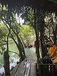Zwemmen Krabi
