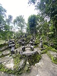 Buddha Garden