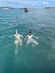 Snorkelen