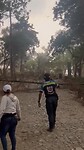De boom die bijna op ons viel