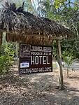 Jungle Lodge