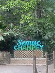 Semuc Champey