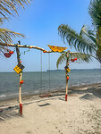Strand Livingston