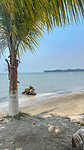 Strand Livingston