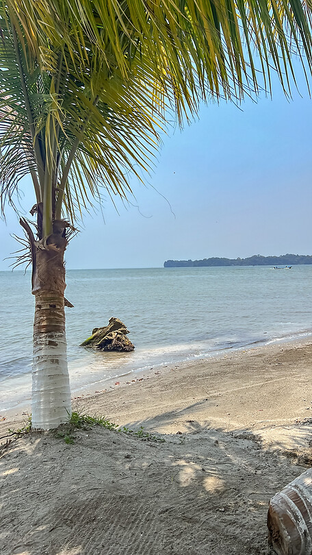 Strand Livingston
