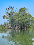 Tour Río Dulce