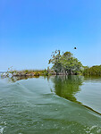 Tour Río Dulce