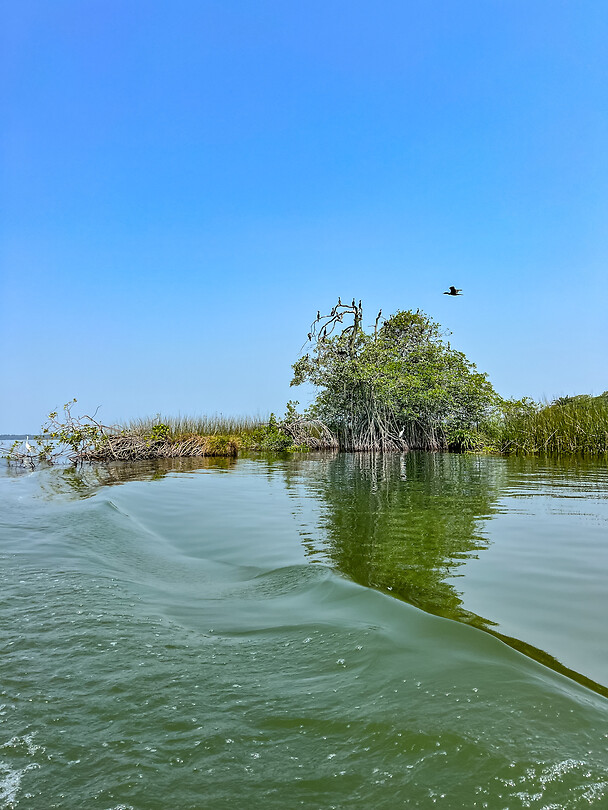 Tour Río Dulce