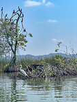 Tour Río Dulce