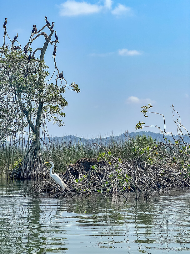 Tour Río Dulce