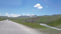 Paarden langs de weg Togtogul - Bishkek