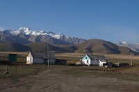 DSC00517