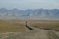 DSC00525