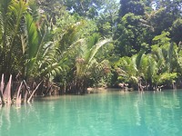 Lagoon