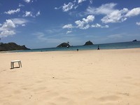 What a view