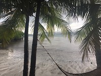 STORM