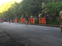 The monks are everywhere in the city